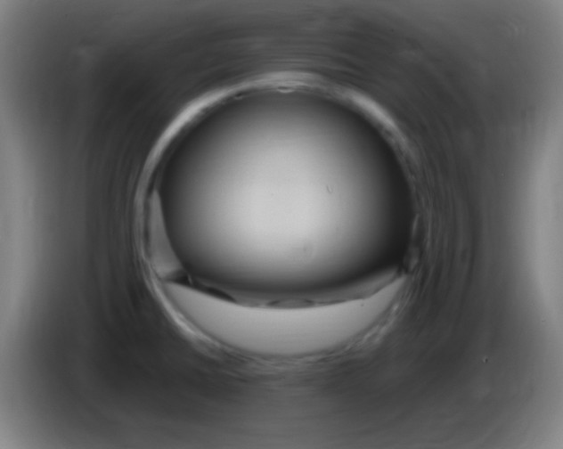 X0000085321430200703302034