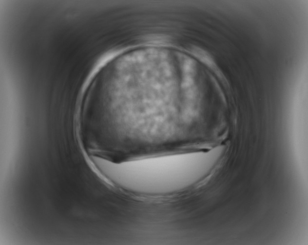 X0000085321432200703302034