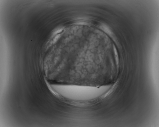 X0000085321433200703302034