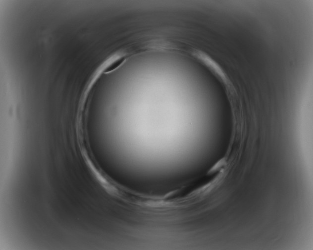 X0000085321434200703302034