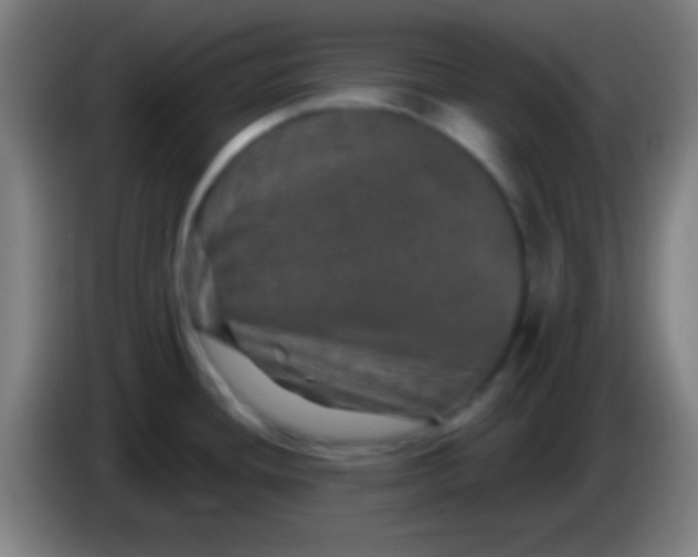 X0000085321436200703302034