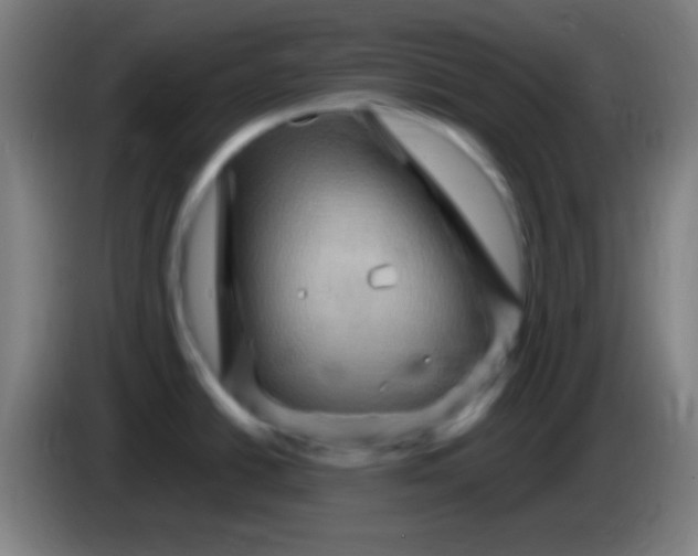 X0000085321438200703302035