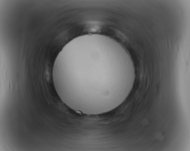 X0000085321442200703302034