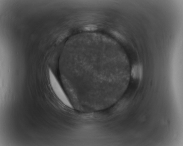 X0000085321444200703302034