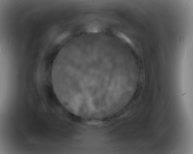 X0000085321446200703302034