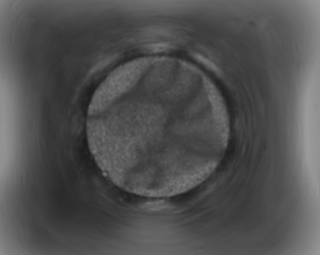 X0000085321447200703302034