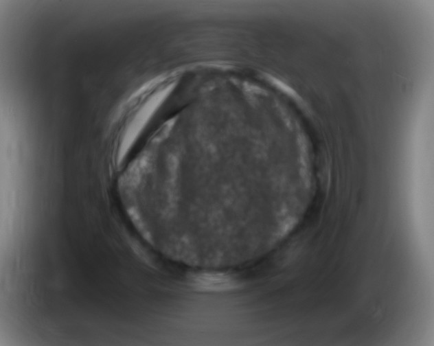 X0000085321448200703302034