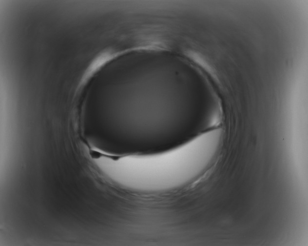 X0000085321455200703302034