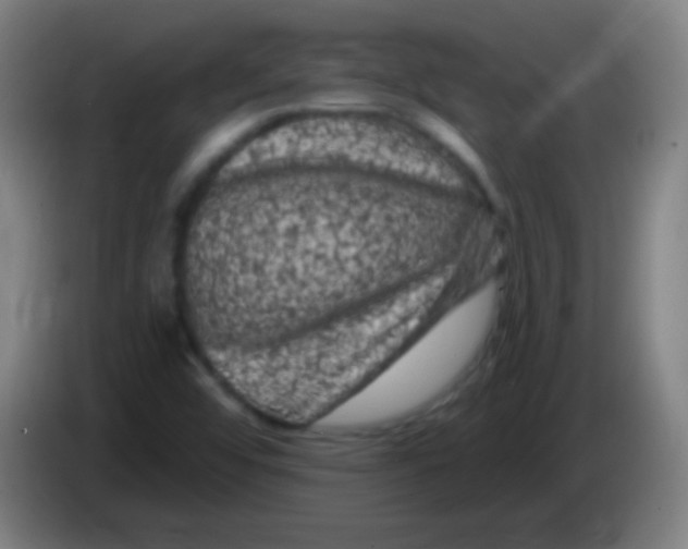 X0000085321456200703302034