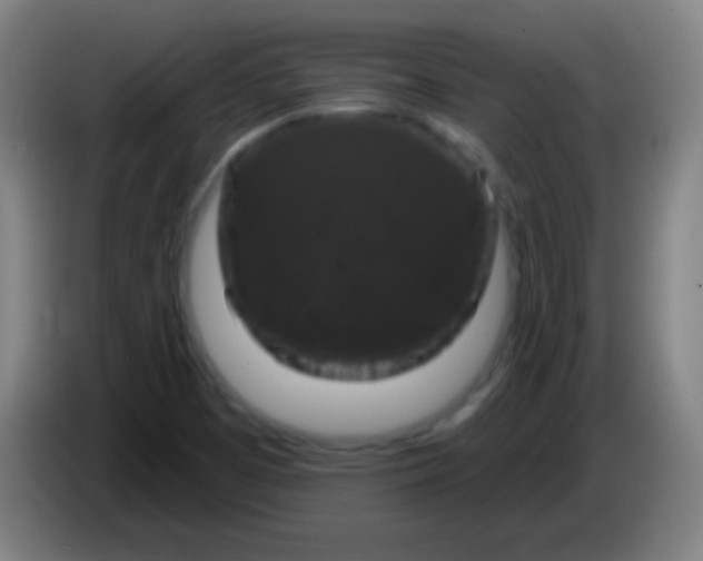 X0000085321457200703302034