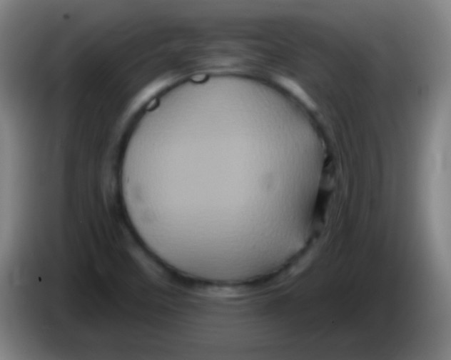 X0000085321458200703302034