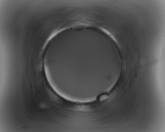 X0000085321459200703302034
