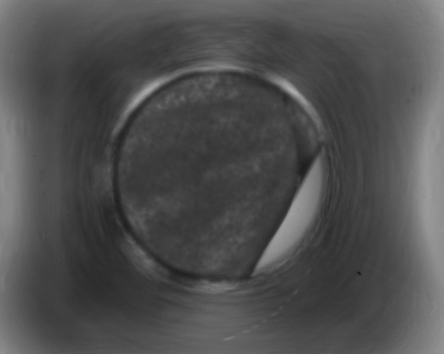 X0000085321460200703302034