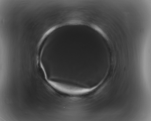 X0000085321461200703302034
