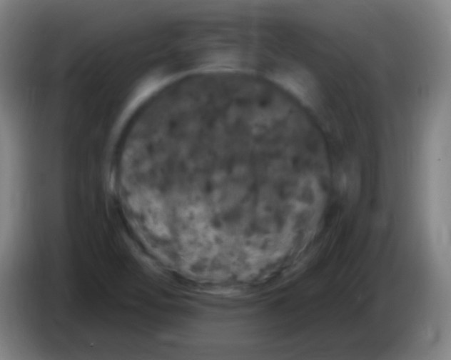 X0000085321462200703302034