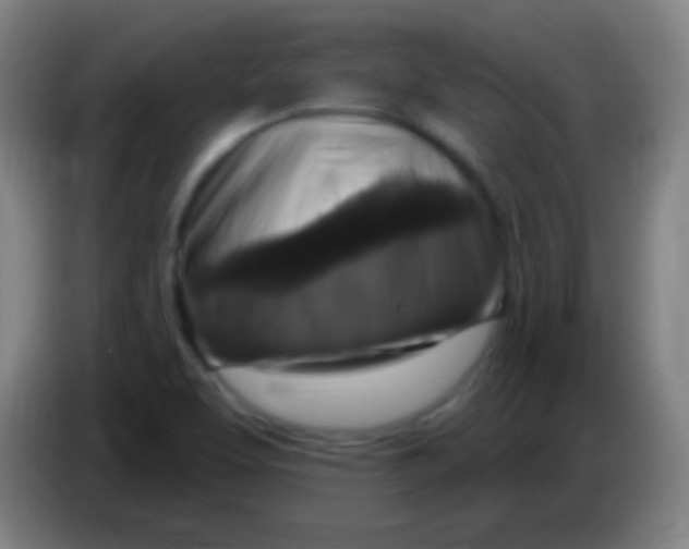 X0000085321463200703302034