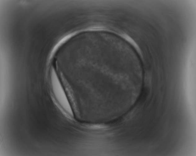 X0000085321464200703302034