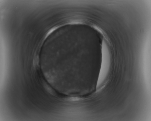 X0000085321465200703302034