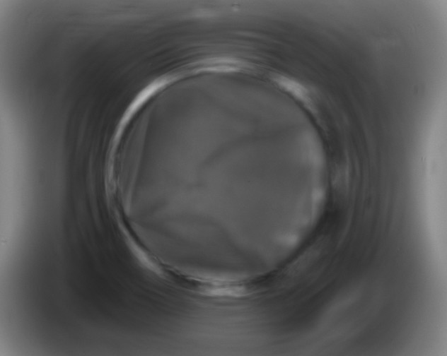 X0000085321466200703302034