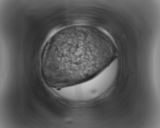 X0000085321467200703302034