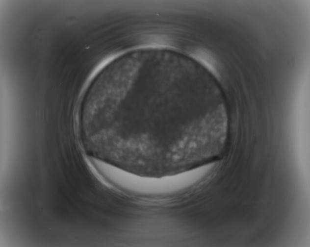 X0000085321468200703302034