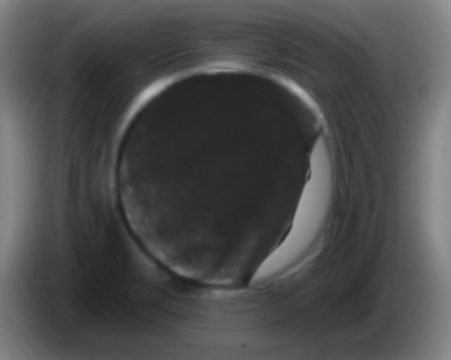 X0000085321469200703302033