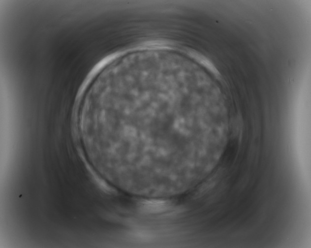 X0000085321470200703302033