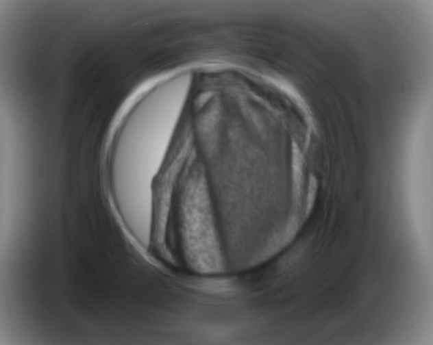 X0000085321472200703302033