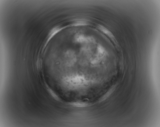 X0000085321473200703302033