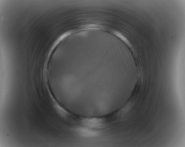 X0000085321474200703302033