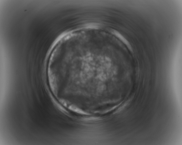 X0000085321475200703302033
