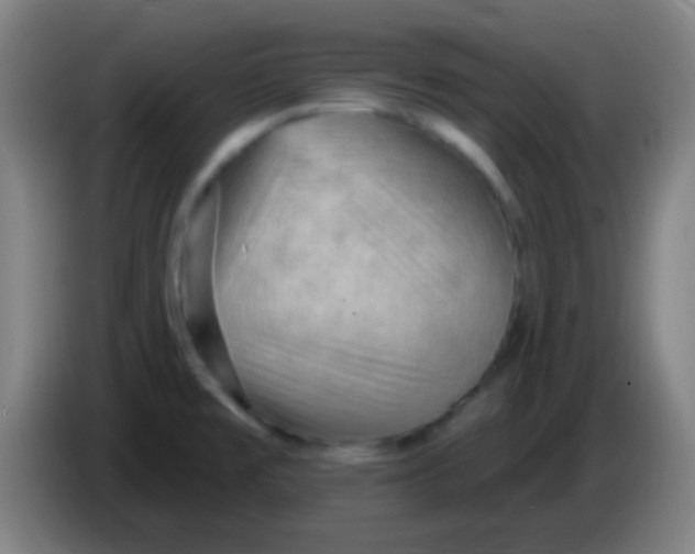 X0000085321477200703302033