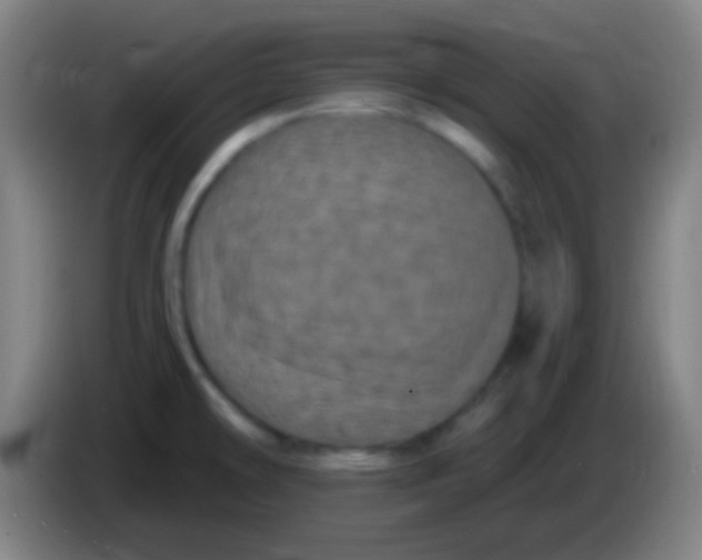 X0000085321478200703302033