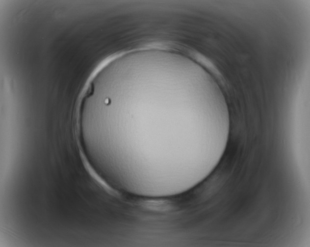 X0000085321479200703302033