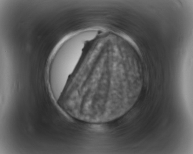 X0000085321480200703302033