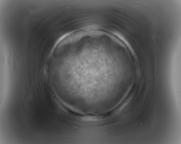 X0000085321481200703302033
