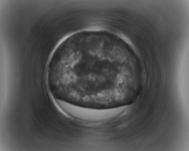 X0000085321484200703302033