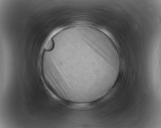 X0000085321486200703302033