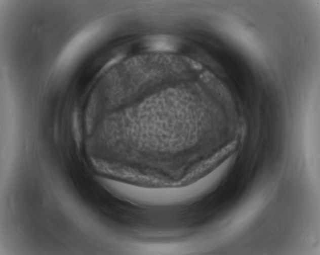 X0000085321487200703302033