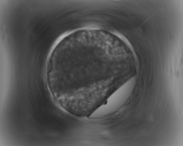 X0000085321488200703302033