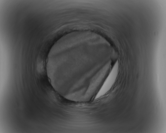 X0000085321490200703302033