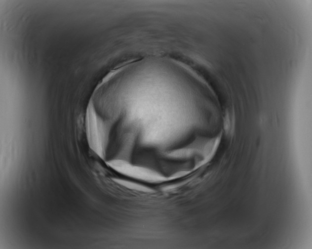 X0000085321492200703302033