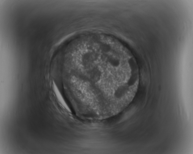 X0000085321494200703302033
