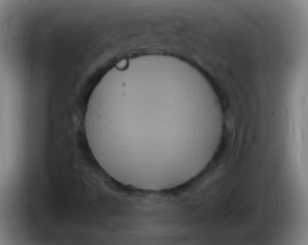 X0000085321495200703302033