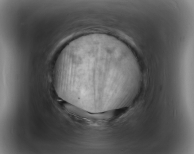 X0000085321496200703302033