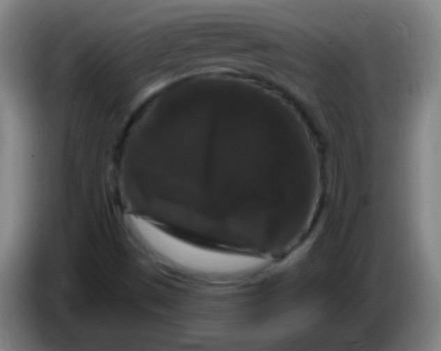 X0000085321497200703302033
