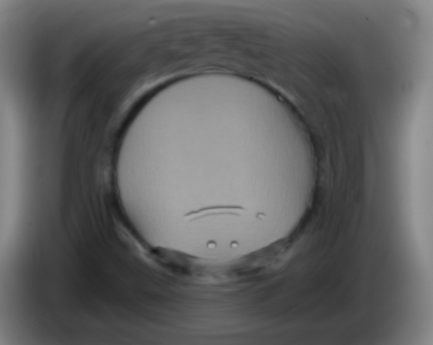 X0000085321499200703302033