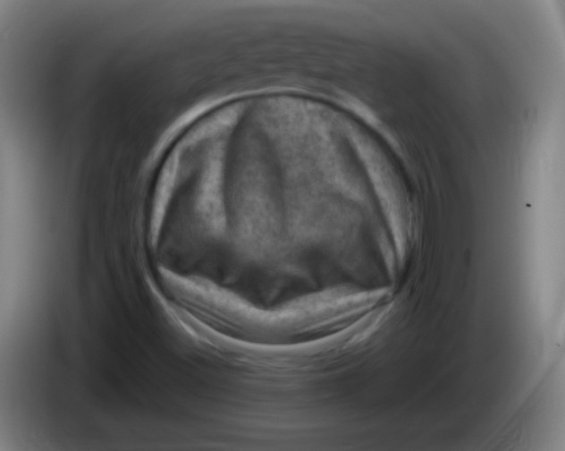 X0000085321500200703302033