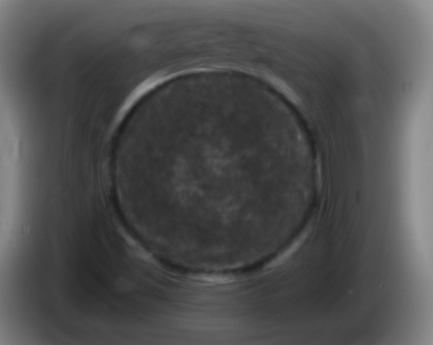 X0000085321501200703302033