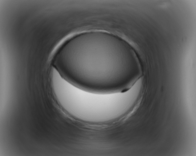 X0000085321502200703302033